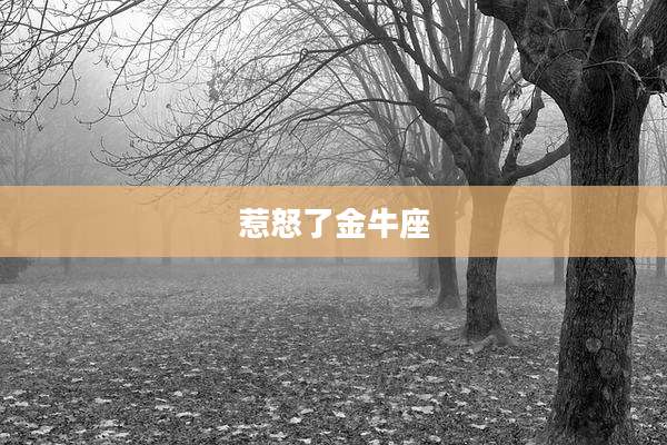 惹怒了金牛座