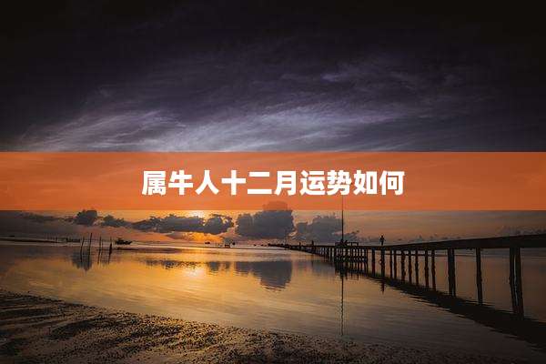 属牛人十二月运势如何
