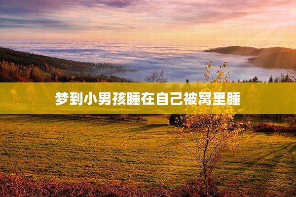 梦到小男孩睡在自己被窝里睡