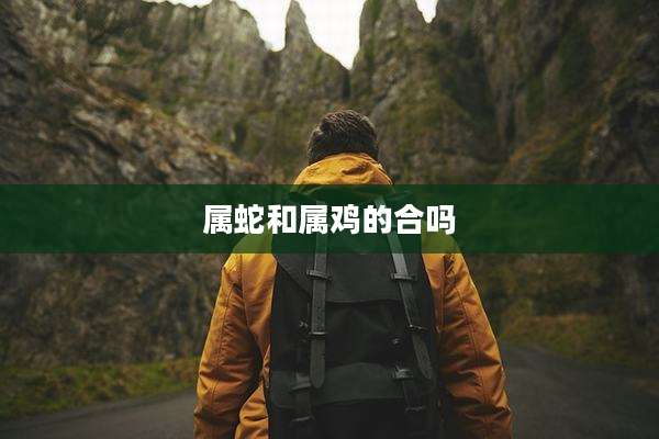 属蛇和属鸡的合吗