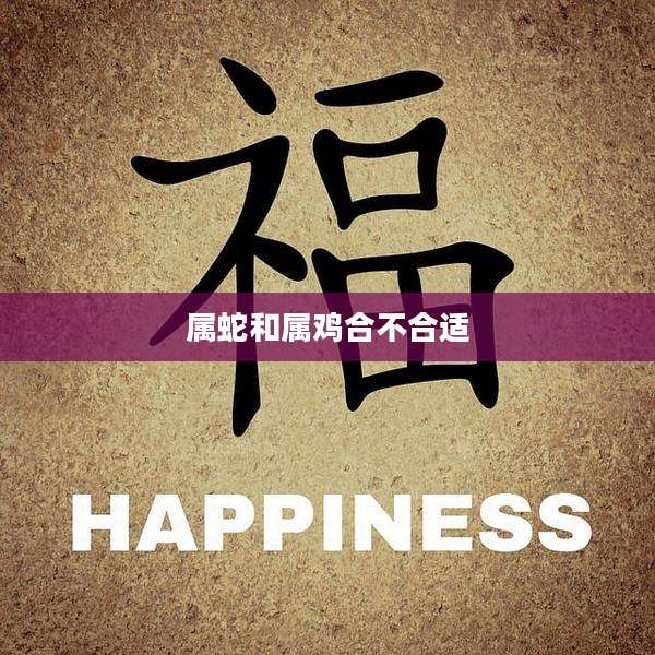 属蛇和属鸡合不合适