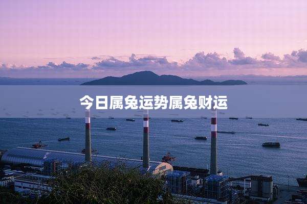 今日属兔运势属兔财运