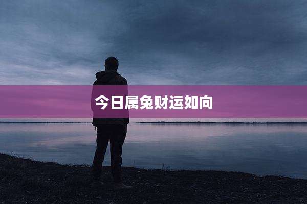 今日属兔财运如向
