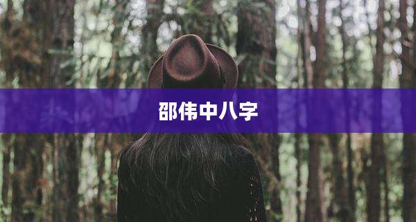 邵伟中八字