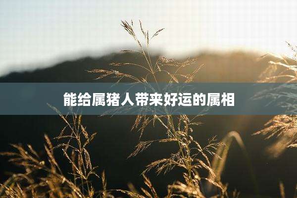 能给属猪人带来好运的属相