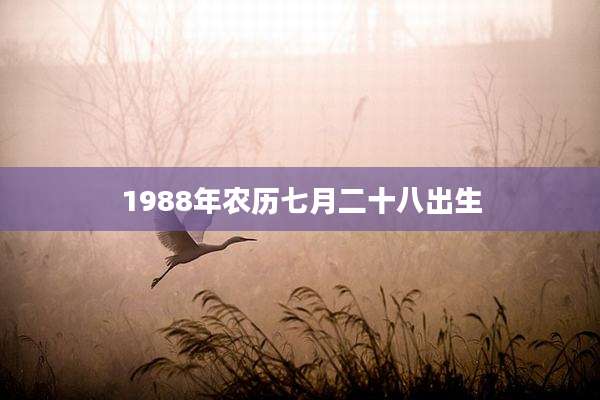 1988年农历七月二十八出生