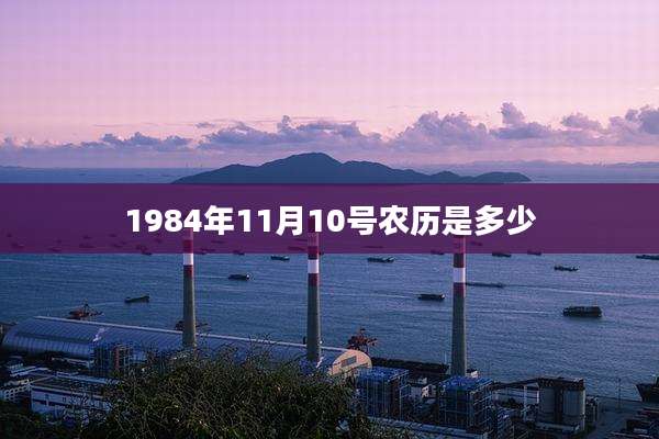 1984年11月10号农历是多少