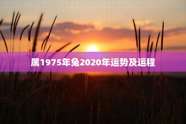 属1975年兔2020年运势及运程