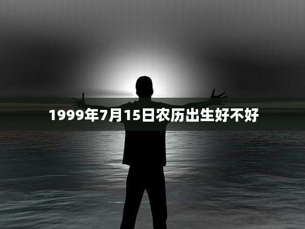 1999年7月15日农历出生好不好
