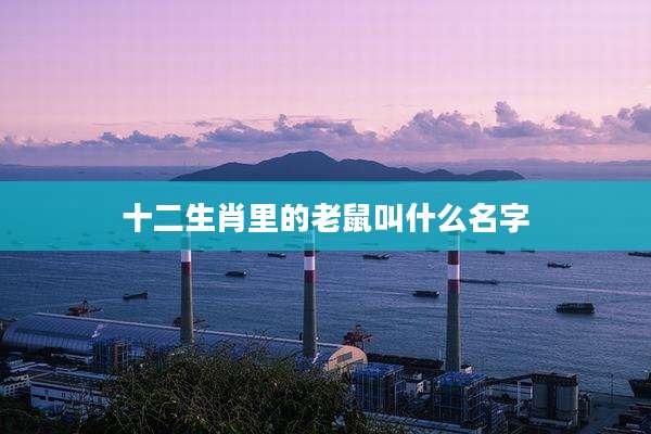 十二生肖里的老鼠叫什么名字
