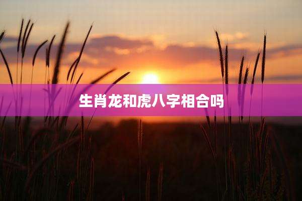 生肖龙和虎八字相合吗