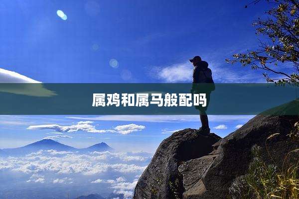 属鸡和属马般配吗