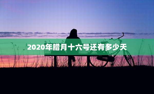 2020年腊月十六号还有多少天