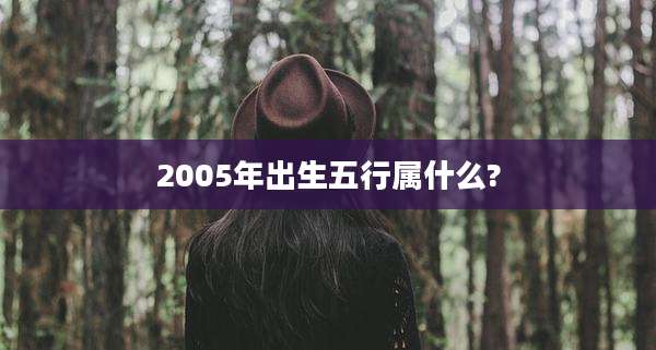 2005年出生五行属什么?