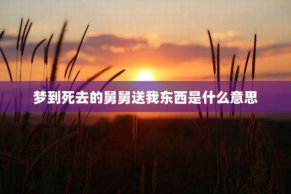 梦到死去的舅舅送我东西是什么意思