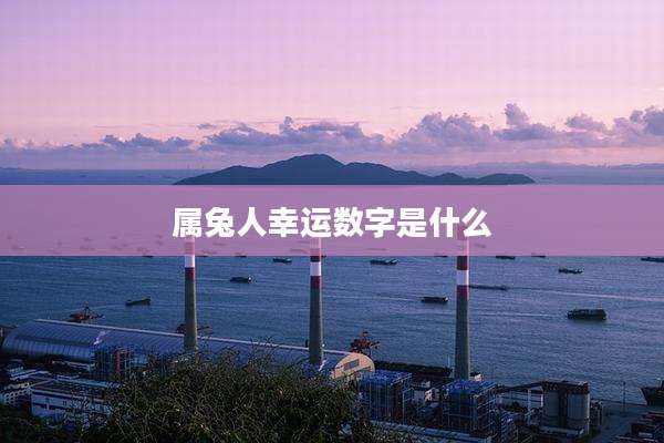 属兔人幸运数字是什么
