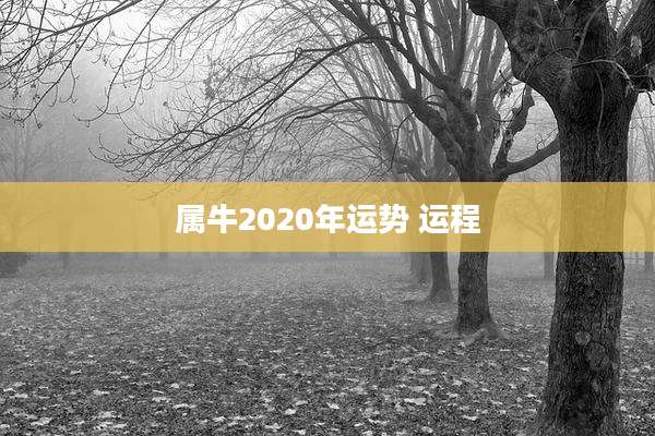 属牛2020年运势 运程