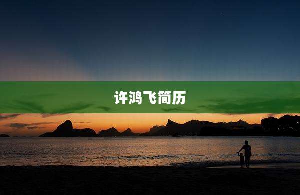 许鸿飞简历