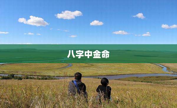八字中金命