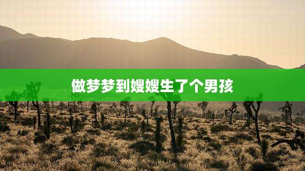 做梦梦到嫂嫂生了个男孩