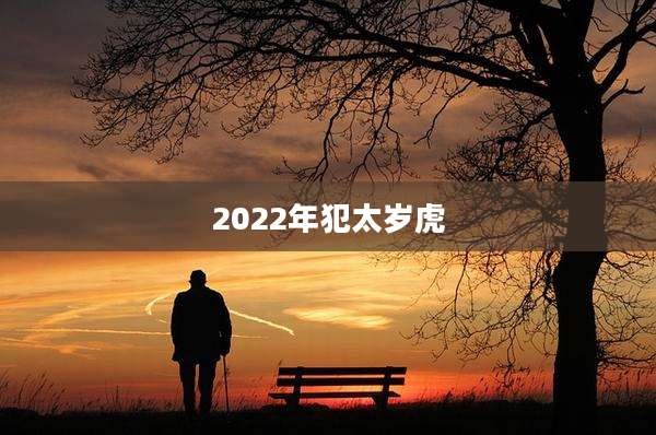 2022年犯太岁虎