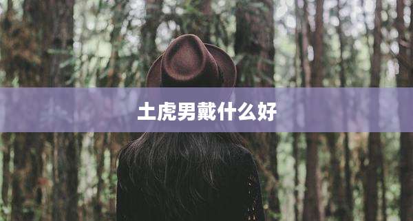 土虎男戴什么好
