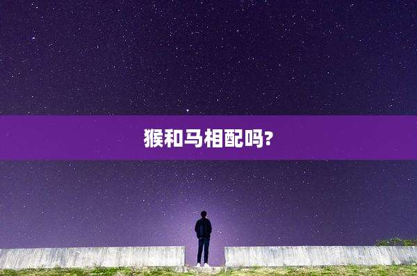 猴和马相配吗?
