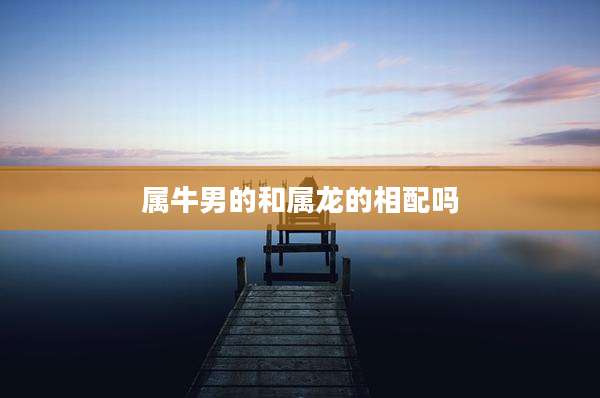 属牛男的和属龙的相配吗