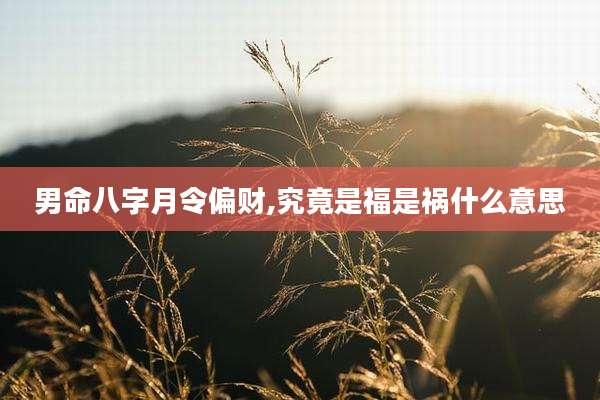 男命八字月令偏财,究竟是福是祸什么意思