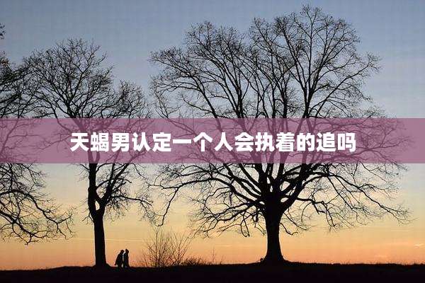 天蝎男认定一个人会执着的追吗