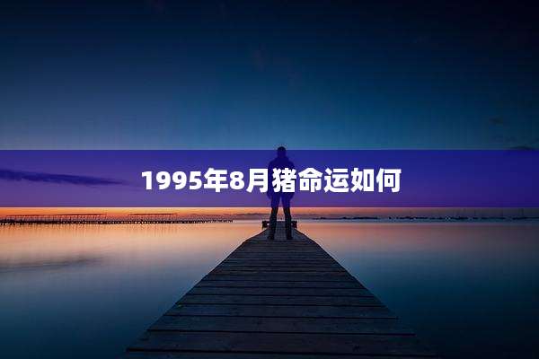 1995年8月猪命运如何