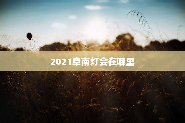 2021阜南灯会在哪里