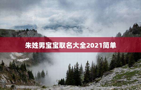 朱姓男宝宝取名大全2021简单