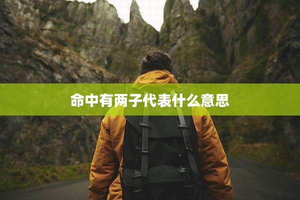 命中有两子代表什么意思