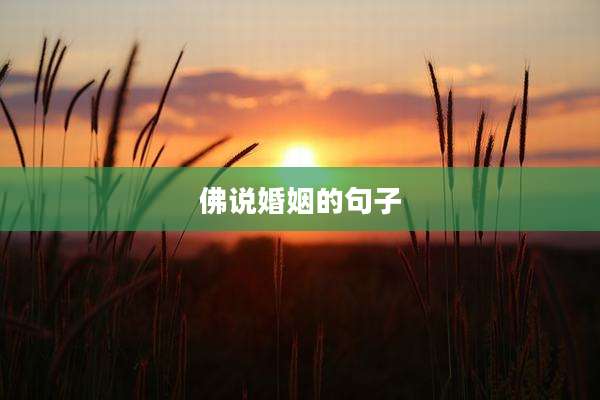 佛说婚姻的句子