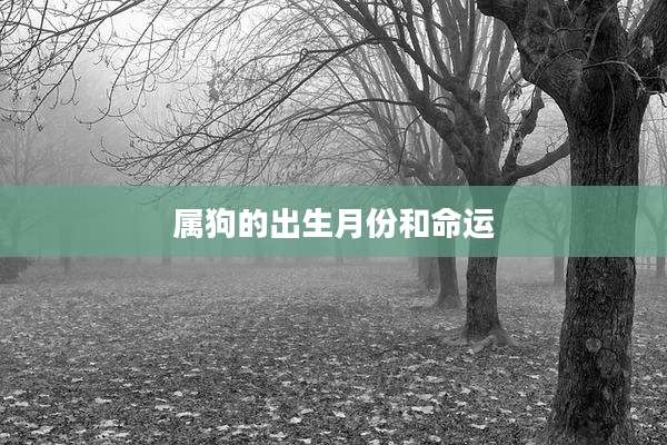 属狗的出生月份和命运