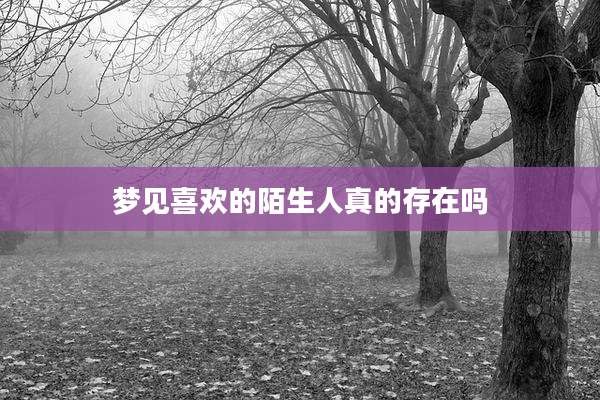 梦见喜欢的陌生人真的存在吗