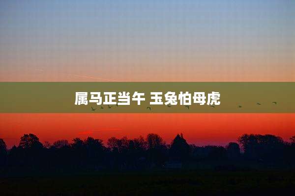 属马正当午 玉兔怕母虎