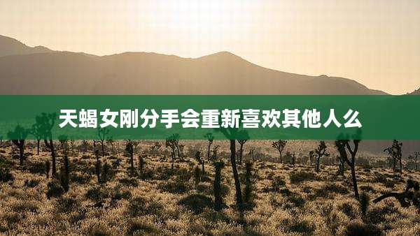 天蝎女刚分手会重新喜欢其他人么