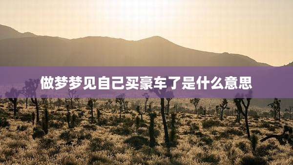 做梦梦见自己买豪车了是什么意思