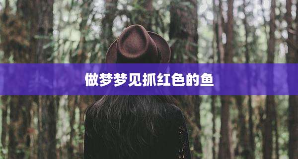 做梦梦见抓红色的鱼