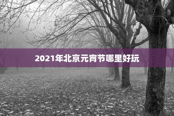 2021年北京元宵节哪里好玩