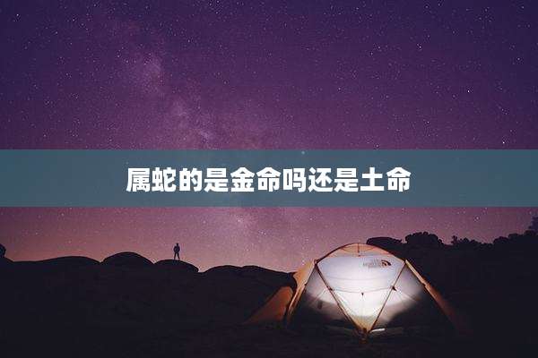 属蛇的是金命吗还是土命
