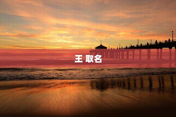 王 取名