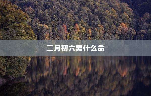 二月初六男什么命
