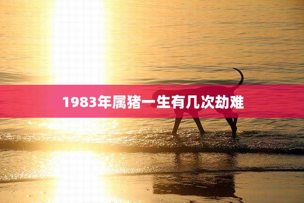 1983年属猪一生有几次劫难
