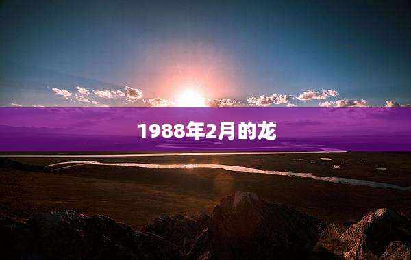 1988年2月的龙