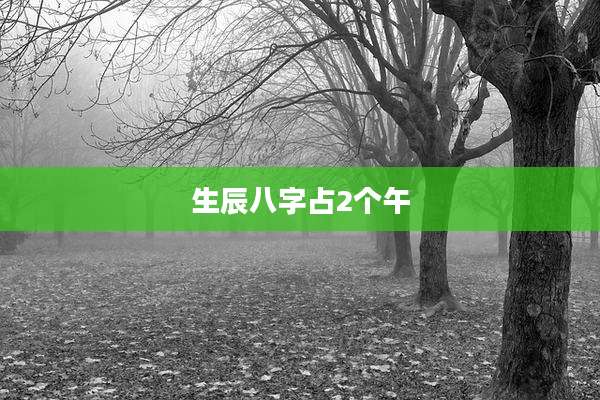 生辰八字占2个午