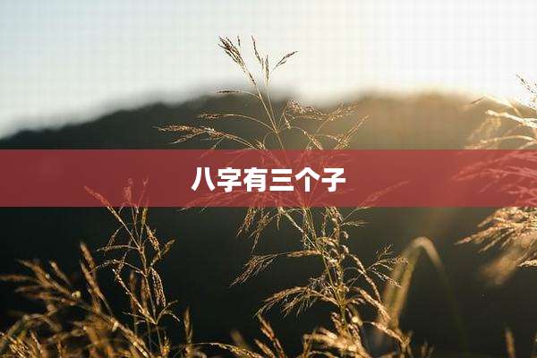八字有三个子