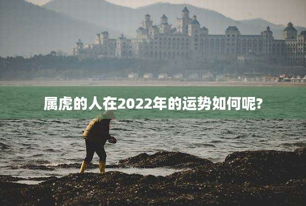 属虎的人在2022年的运势如何呢?